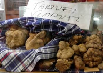 white truffles at Alba's fall truffle fair