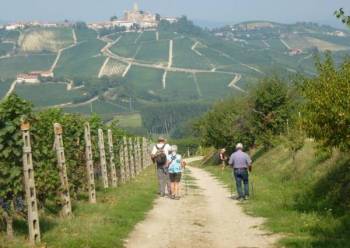 walking in Barolo wine country