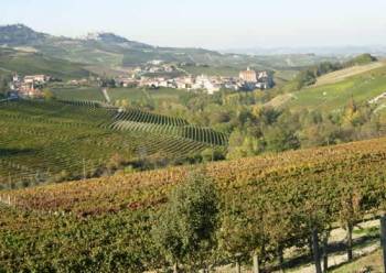 Fall vineyards: town of Barolo in valley