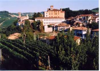 castle in town of Barolo from hotel terrace
