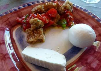 fresh local mozzarella & ricotta, local bread & tomato caponata