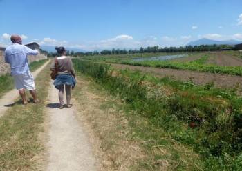 touring vegetables gardens at Paestum cooking class estate